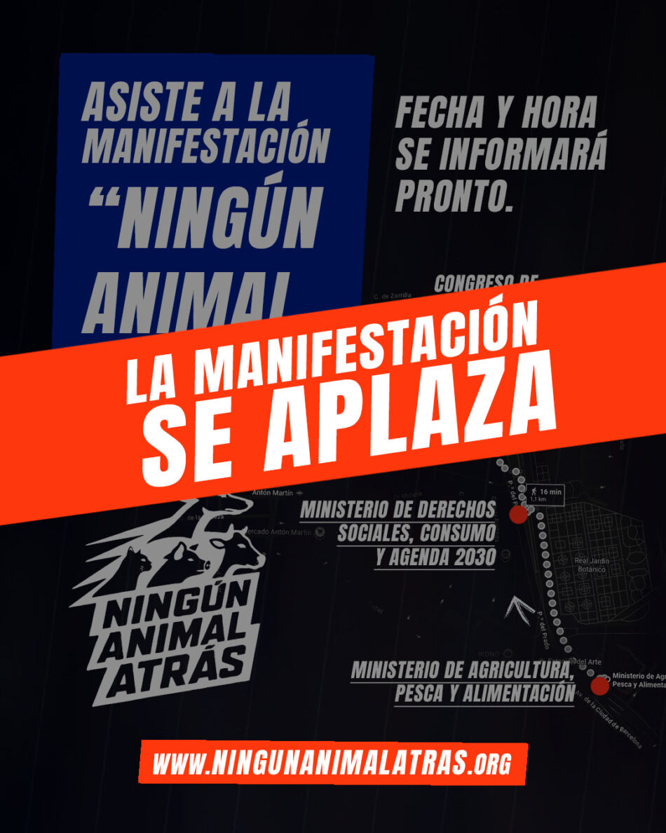 Las organizaciones de protección animal aplazan la manifestación «Ningún Animal Atrás» del 4 de octubre ante la inestabilidad política